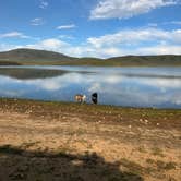 Review photo of Little Camas Reservoir by Emily S., June 21, 2024