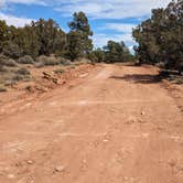 Review photo of Little Creek Mesa MTB Area by Greg L., March 13, 2024