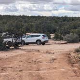 Review photo of Little Creek Mesa MTB Area by Greg L., March 13, 2024