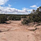 Review photo of Little Creek Mesa MTB Area by Greg L., March 13, 2024