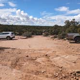 Review photo of Little Creek Mesa MTB Area by Greg L., March 13, 2024