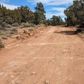 Review photo of Little Creek Mesa MTB Area by Greg L., March 13, 2024