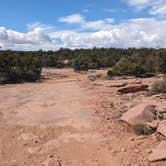 Review photo of Little Creek Mesa MTB Area by Greg L., March 13, 2024