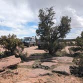 Review photo of Little Creek Mesa MTB Area by Greg L., March 13, 2024