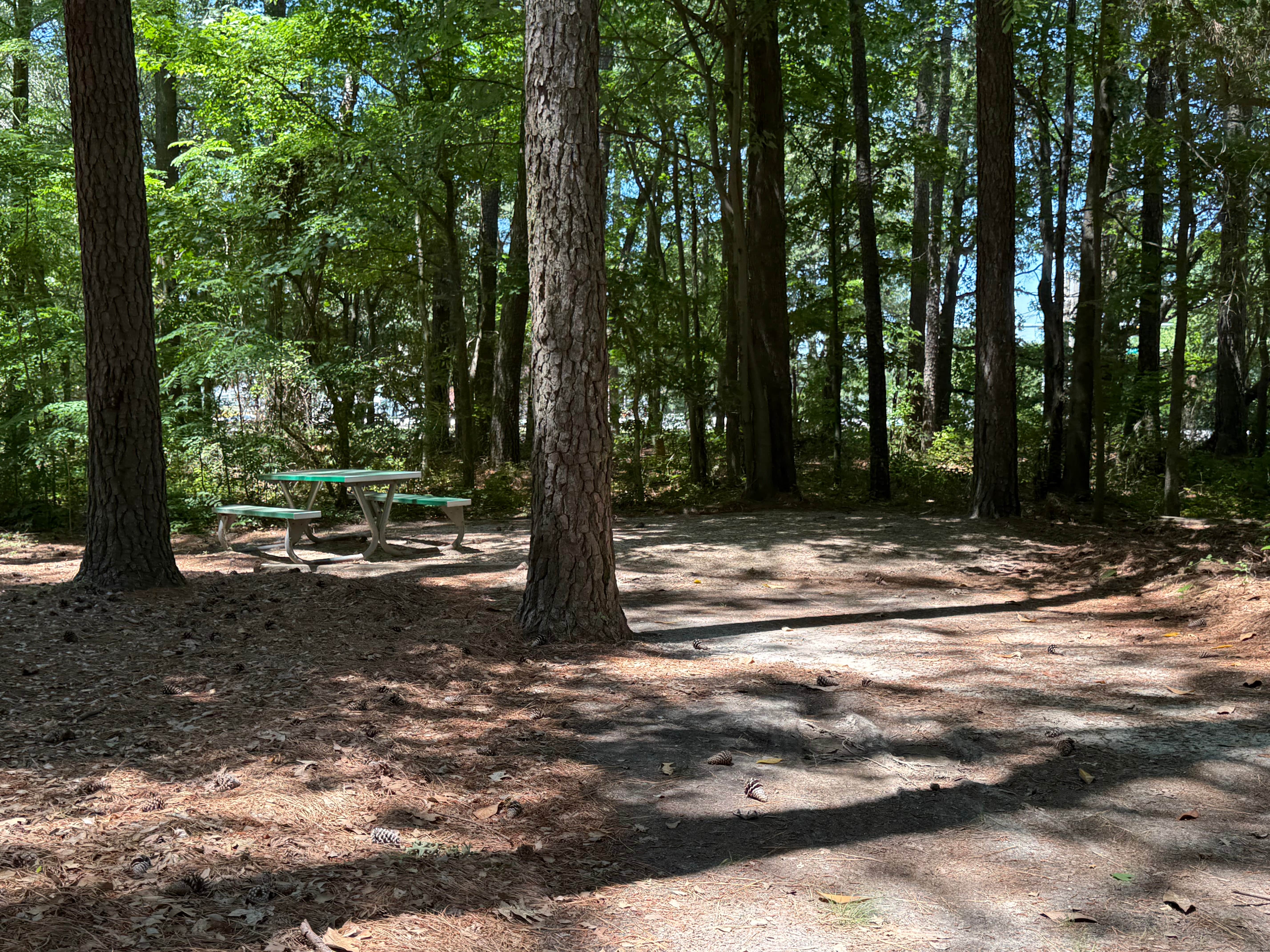 Camper-submitted photo at Little Creek MWR RV Park near Greenwood, VA