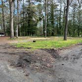 Review photo of Little Creek MWR RV Park by Eleanor the Airstream R., April 4, 2024