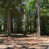 Review photo of Little Creek MWR RV Park by Janet R., May 25, 2025