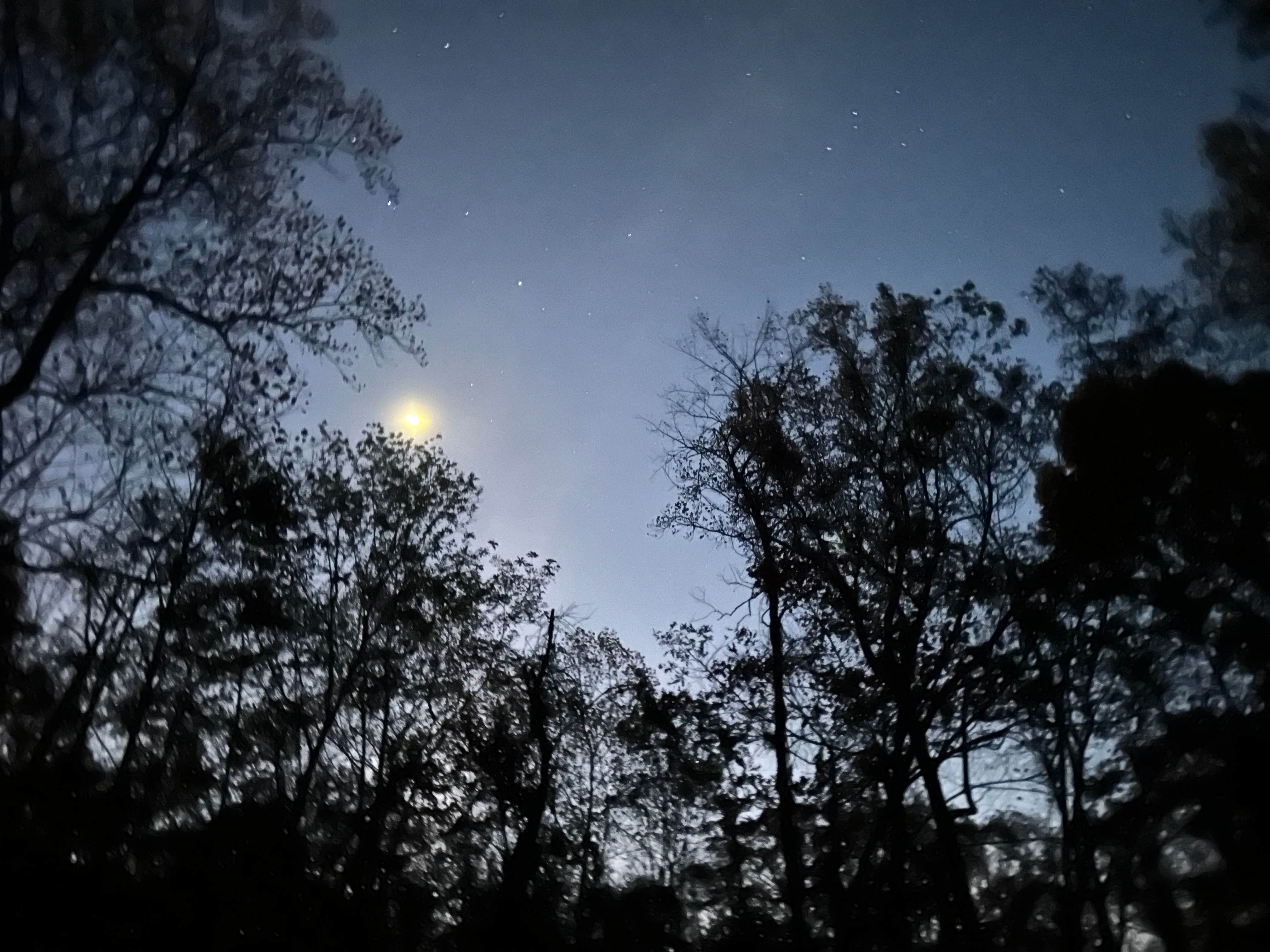 SJ W.'s photo of a dispersed camping area at Little Fort Campground near Rippon, WV