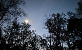 SJ W.'s photo of a dispersed camping area at Little Fort Campground near Ruckersville, VA