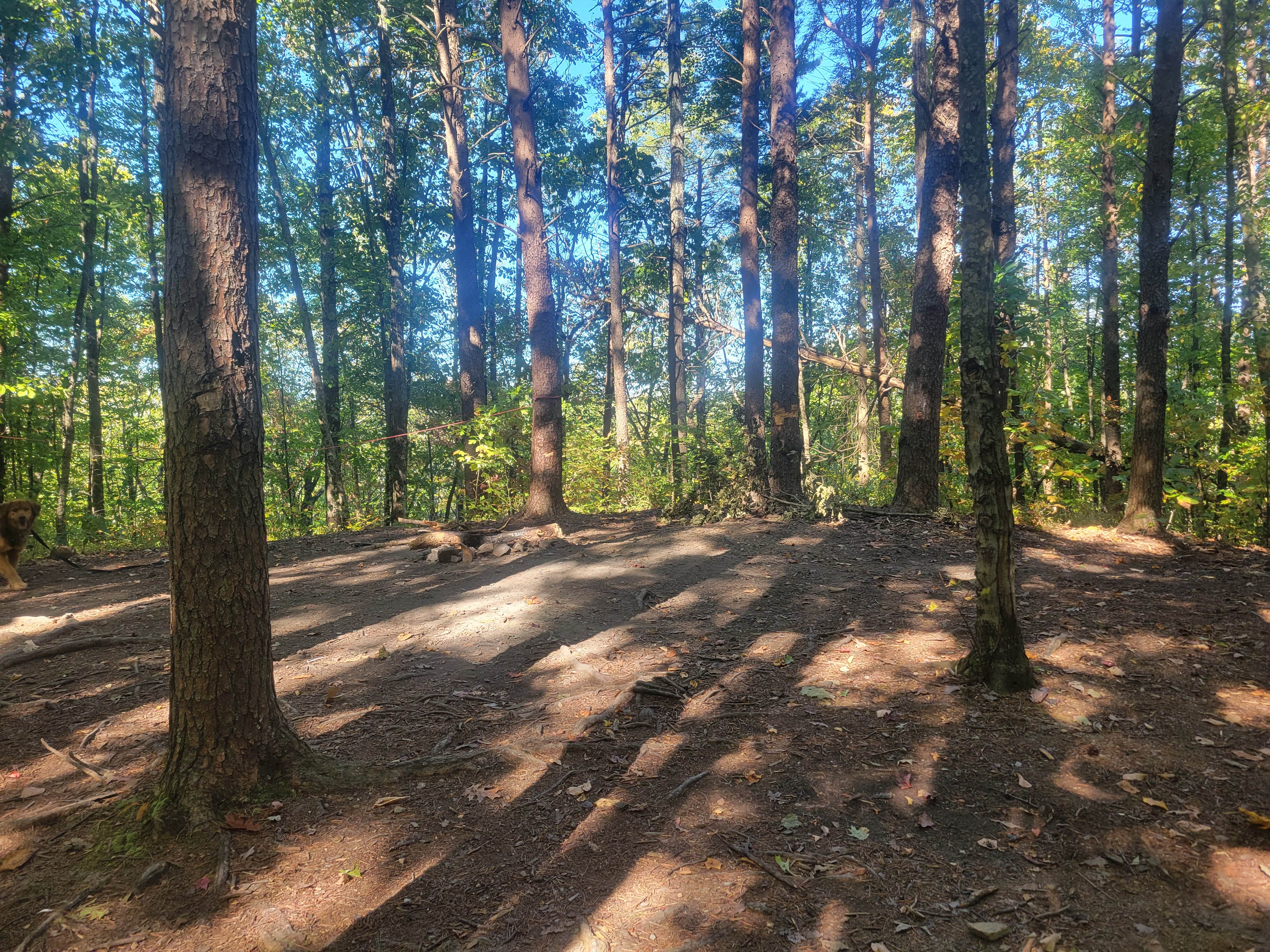 Camper-submitted photo at Little Gassaway Creek near McCaysville, GA
