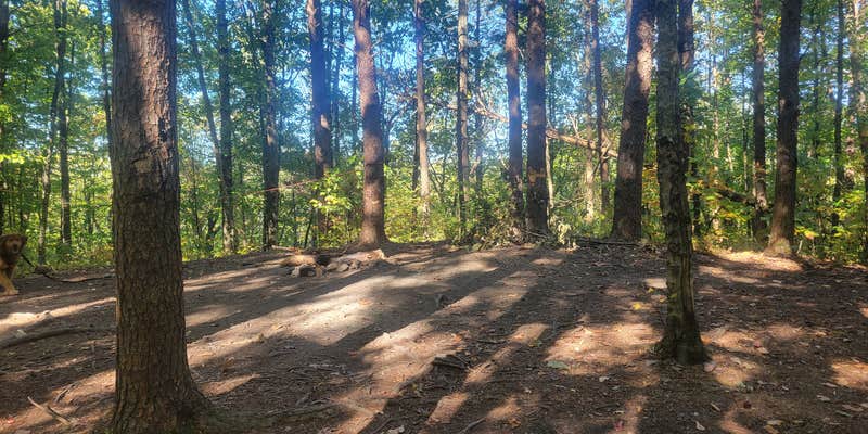 Camper submitted image from Little Gassaway Creek