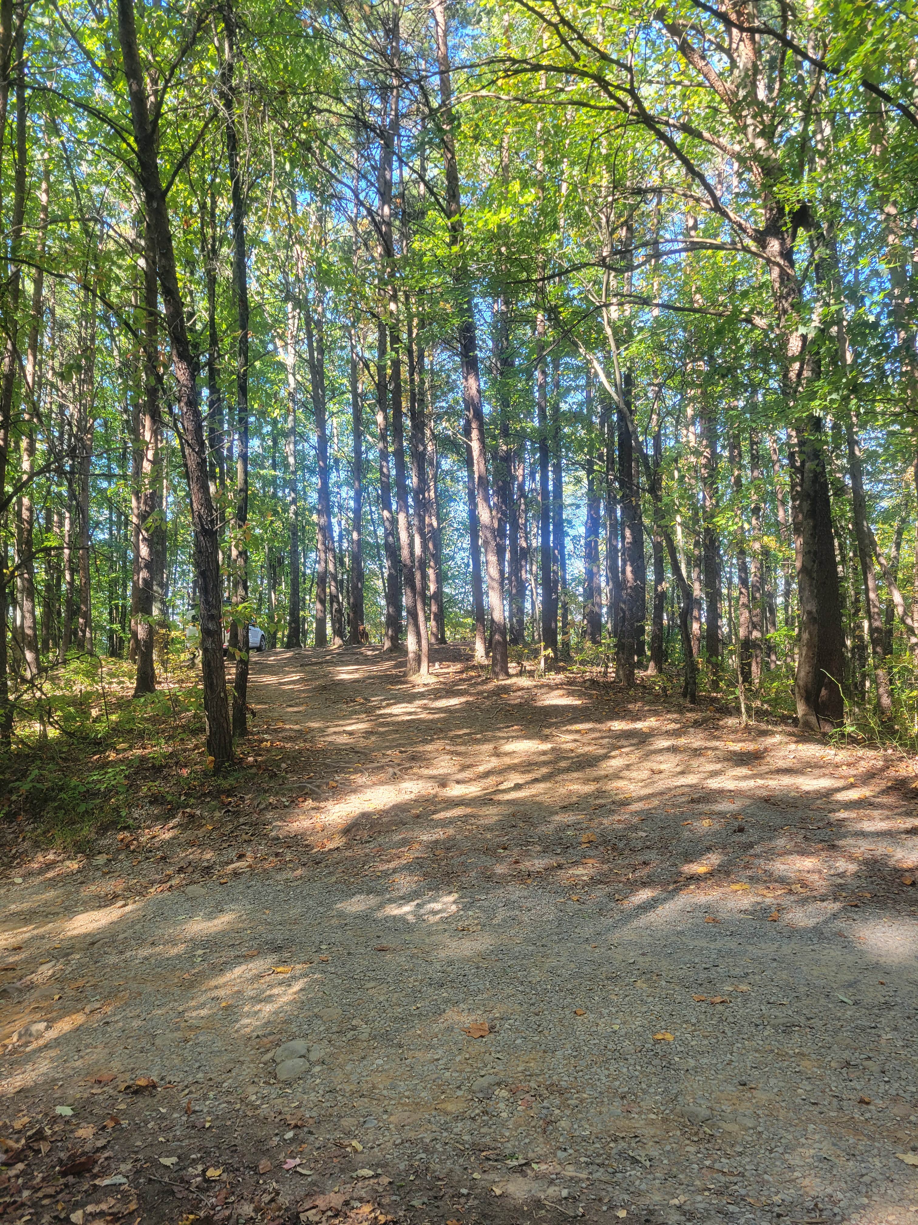 Camper-submitted photo at Little Gassaway Creek near McCaysville, GA