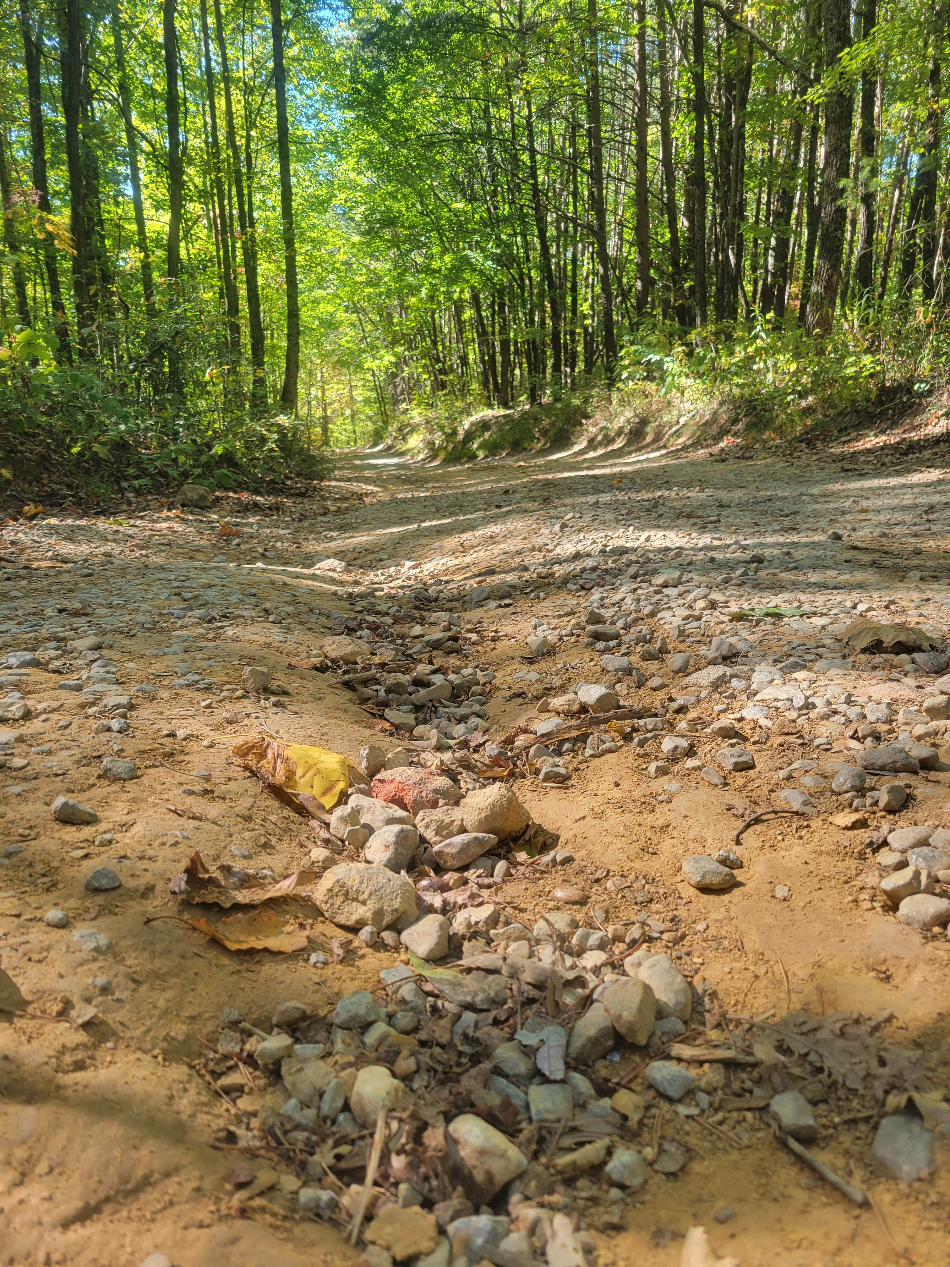 Camper-submitted photo at Little Gassaway Creek near McCaysville, GA
