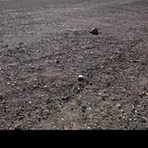 Review photo of Little Girl Dispersed Camp by Crystal B., November 9, 2025