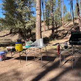 Review photo of Little Green Valley - NF405A Dispersed by Stacy D., March 14, 2026