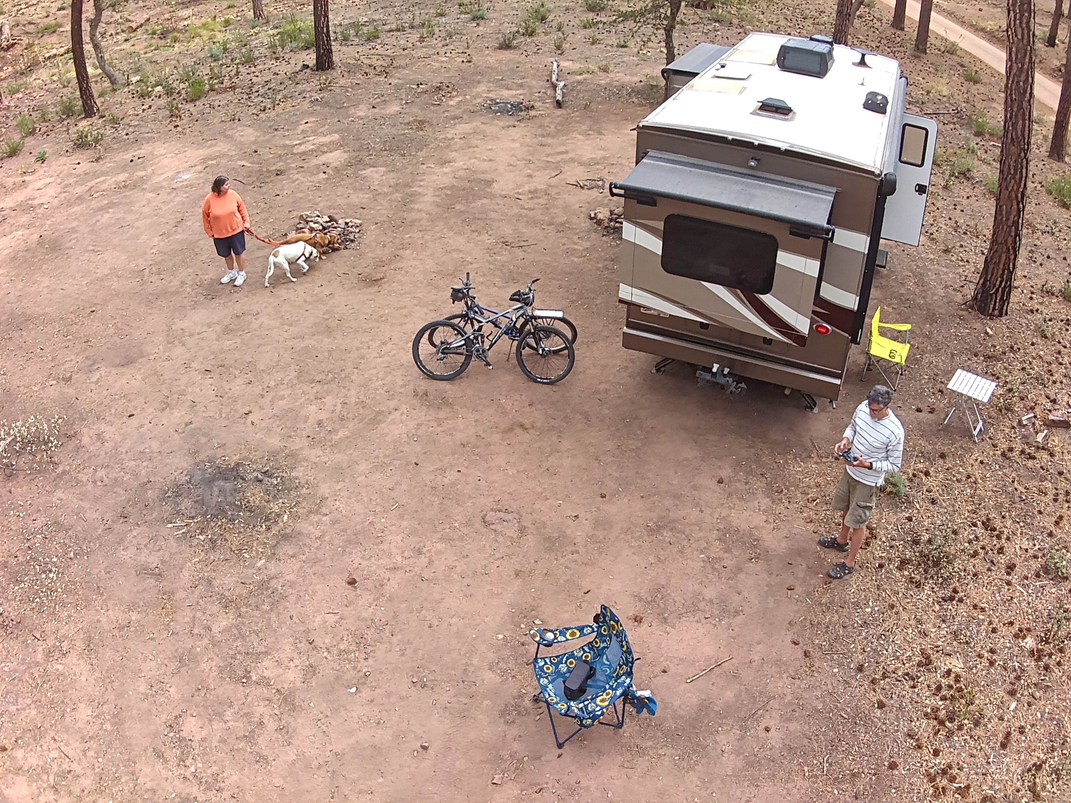mark F.'s photo of camping with pets at Little Green Valley - NF405A Dispersed near Kohls Ranch, AZ