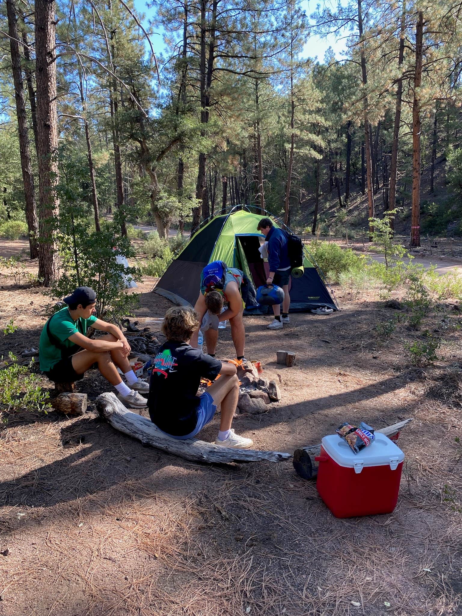 Camper-submitted photo at Little Green Valley - NF405A Dispersed near Payson, AZ