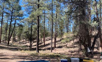 Stacy D.'s photo of camping with pets at Little Green Valley - NF405A Dispersed near Payson, AZ