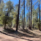 Review photo of Little Green Valley - NF405A Dispersed by Stacy D., March 14, 2026