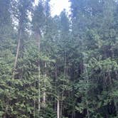 Review photo of Little Joe Campground - Lolo National Forest by DuBois , July 16, 2025