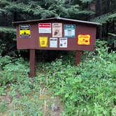Review photo of Little Joe Campground - Lolo National Forest by DuBois , July 16, 2025