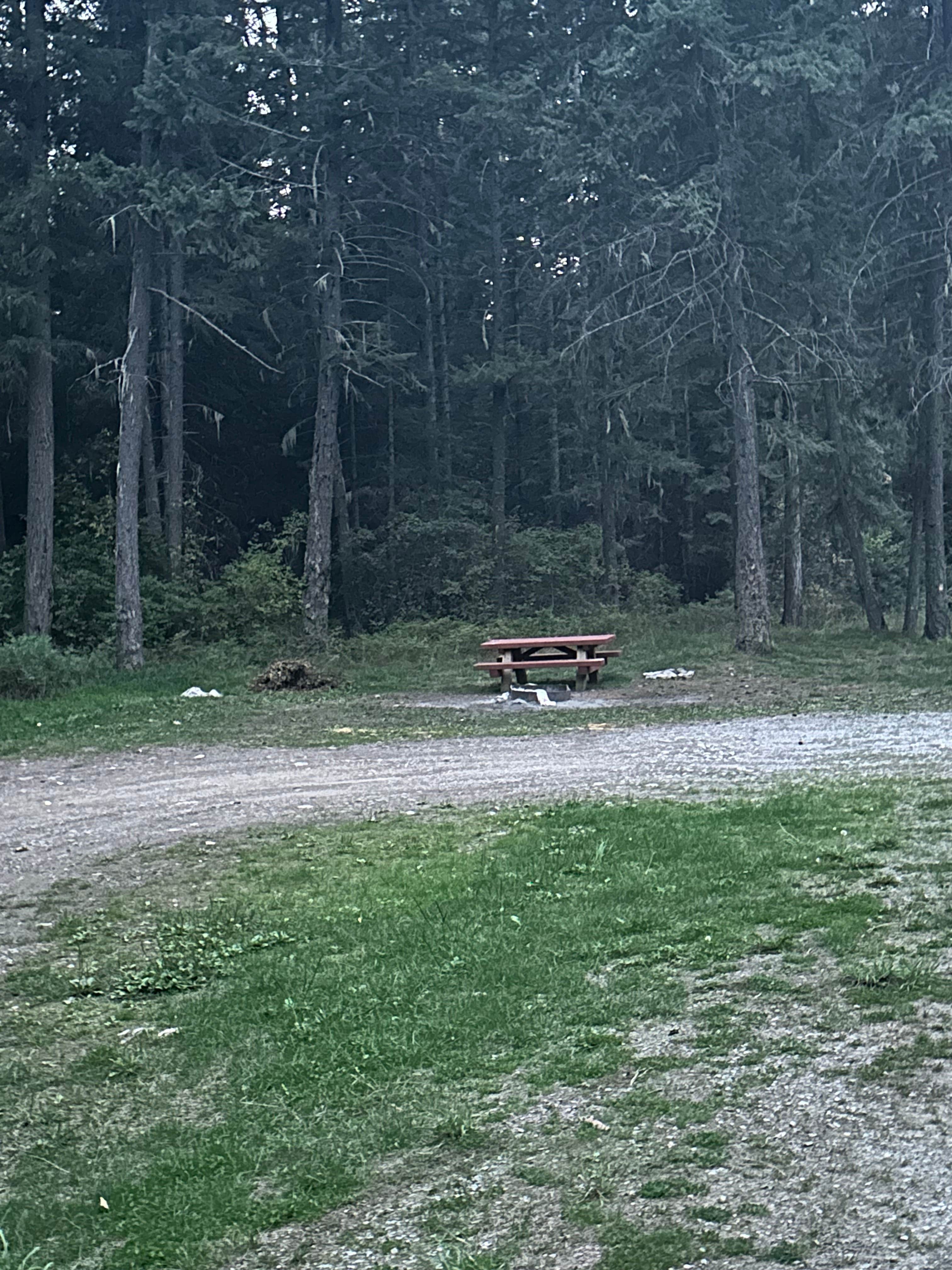 Camper submitted image from Little Joe Campground - Lolo National Forest - 3