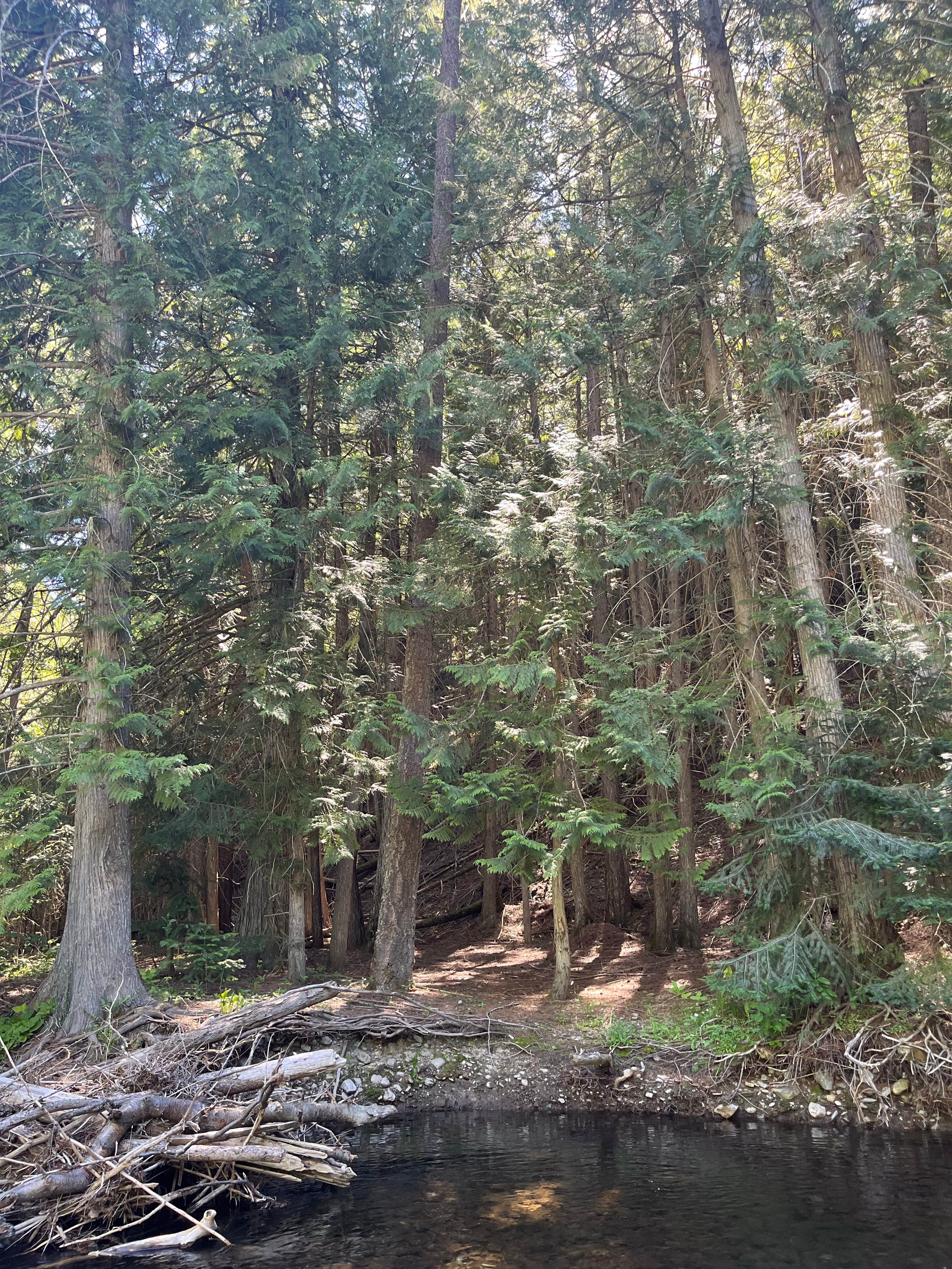 Camper-submitted photo at Little Joe Campground - Lolo National Forest near De Borgia, MT
