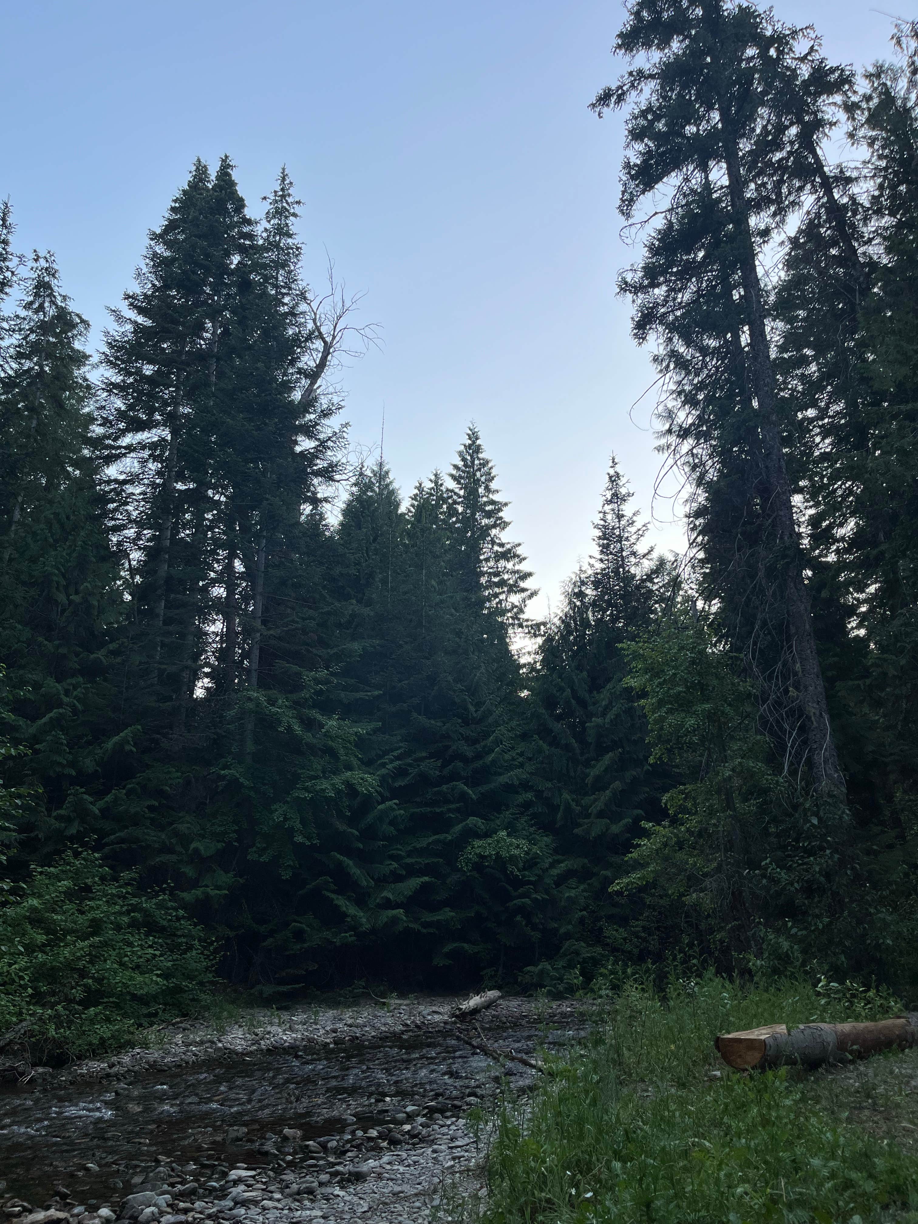 Camper-submitted photo at Little Joe Campground - Lolo National Forest near De Borgia, MT
