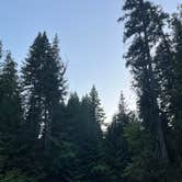 Review photo of Little Joe Campground - Lolo National Forest by DuBois , July 16, 2025