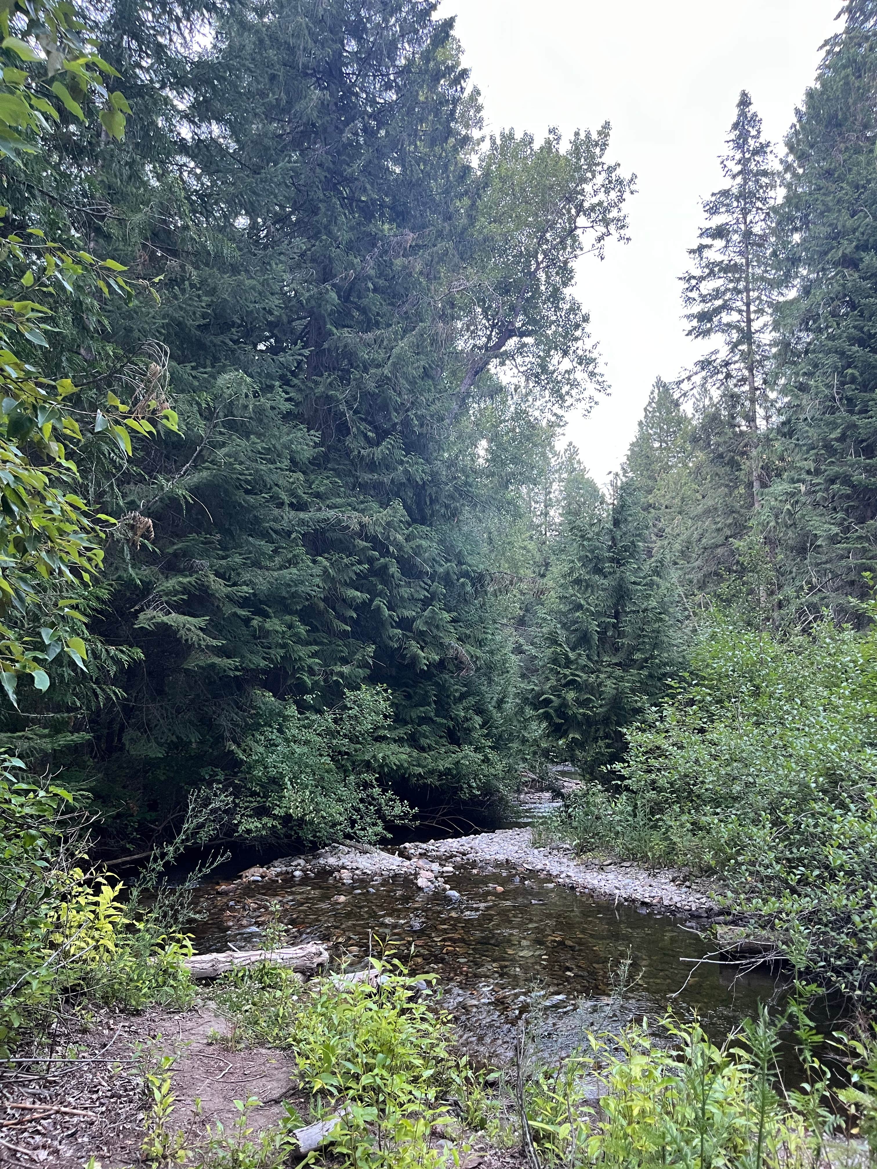 Camper-submitted photo at Little Joe Campground - Lolo National Forest near De Borgia, MT