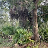 Review photo of Little Manatee River State Park by Lauren W., October 25, 2023