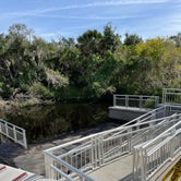 Review photo of Little Manatee River State Park Campground by Lauren W., October 25, 2023