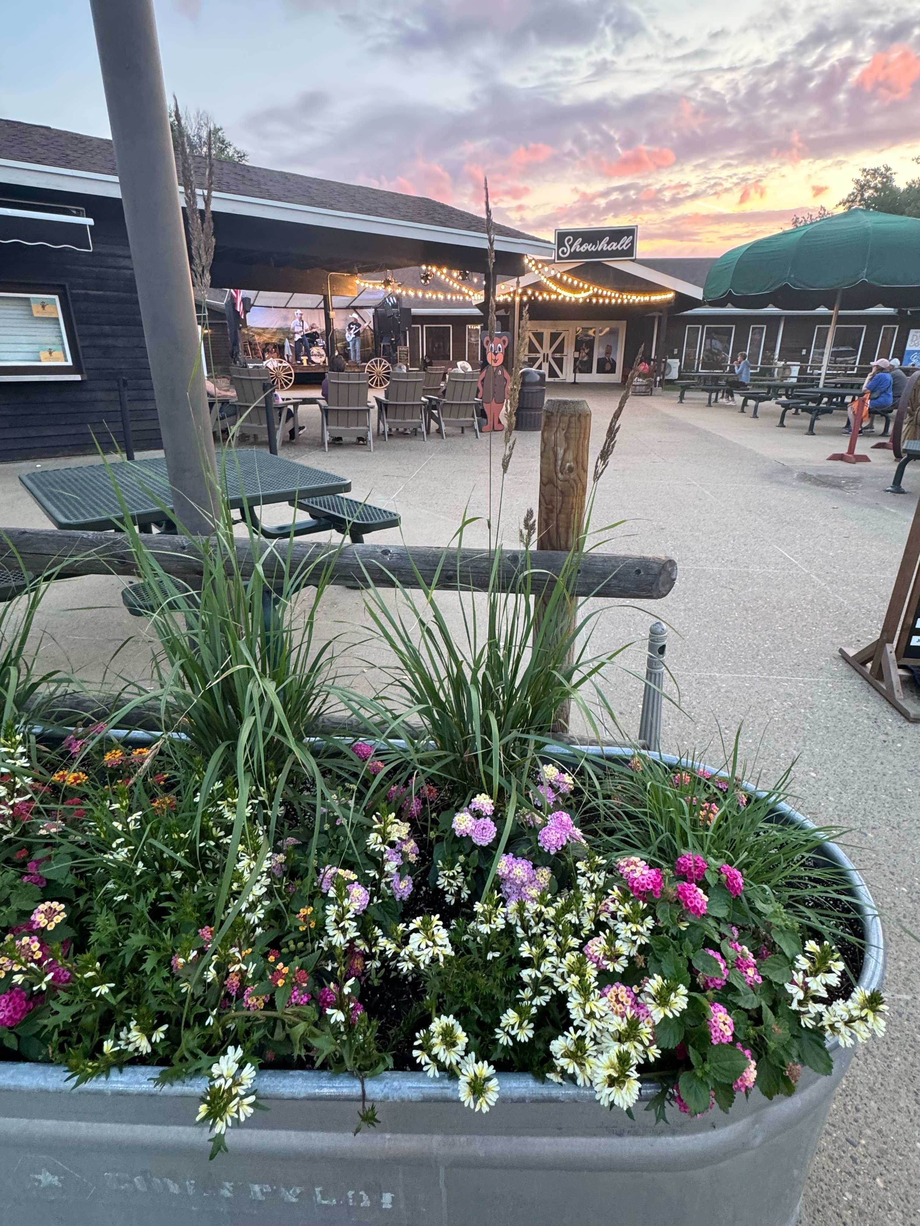 Camper-submitted photo at Little Missouri National Grassland near Grassy Butte, ND