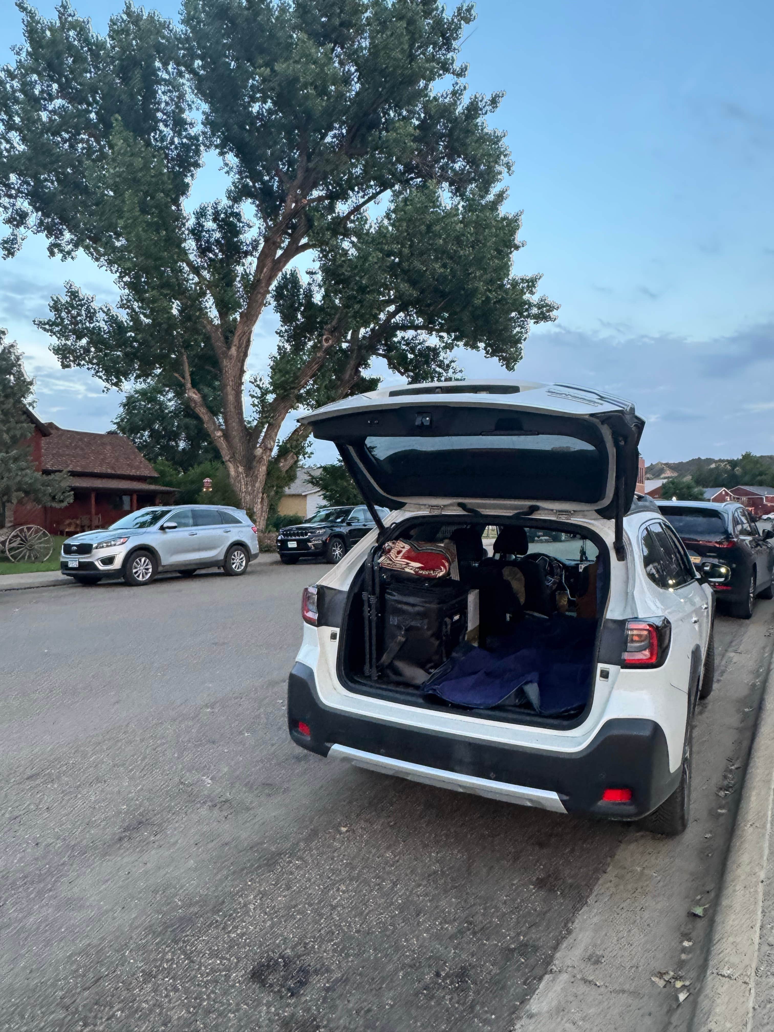 Camper-submitted photo at Little Missouri National Grassland near Grassy Butte, ND