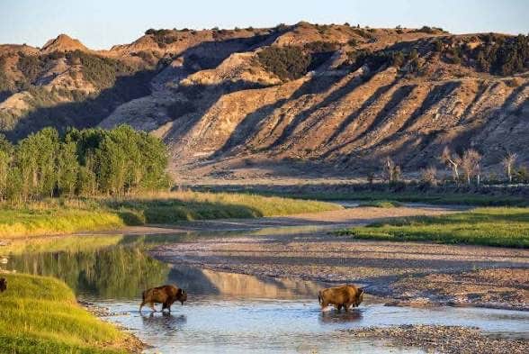 Camper-submitted photo at Little Missouri National Grassland near Grassy Butte, ND