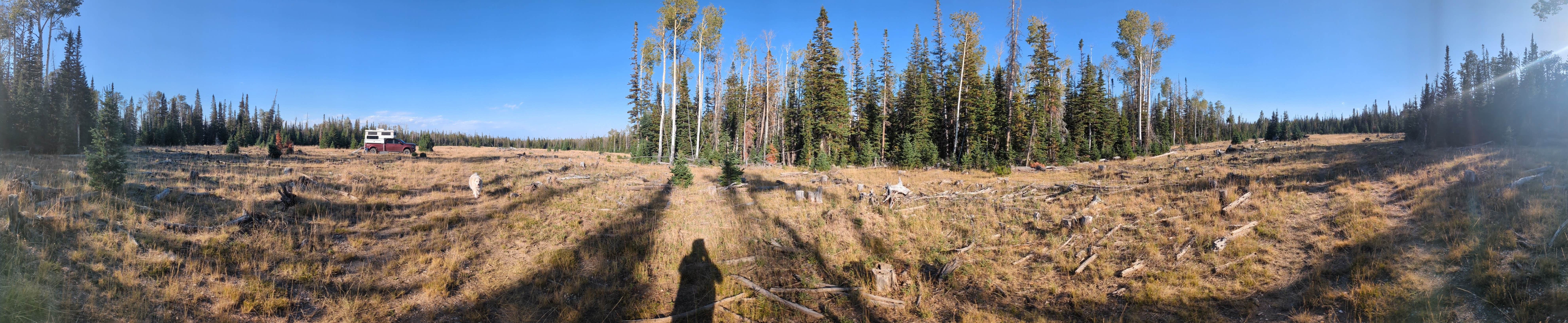 Little Mountain Dispersed Camp