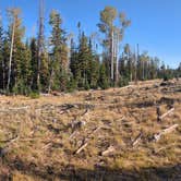 Review photo of Little Mountain Dispersed Camp by Christopher H., September 14, 2024