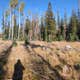 Little Mountain Dispersed Camp