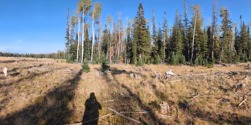 Camper submitted image from Little Mountain Dispersed Camp