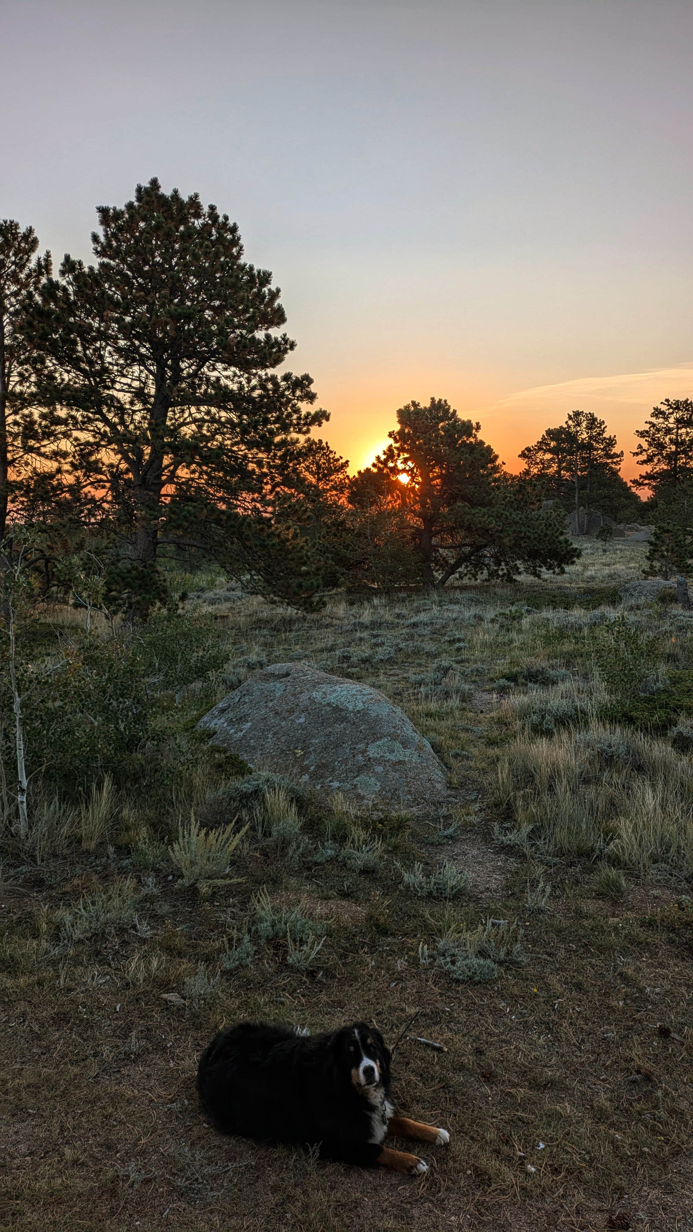 Christopher H.'s photo of a dispersed camping area at Little Mountain Dispersed Camp near Rock Springs, WY