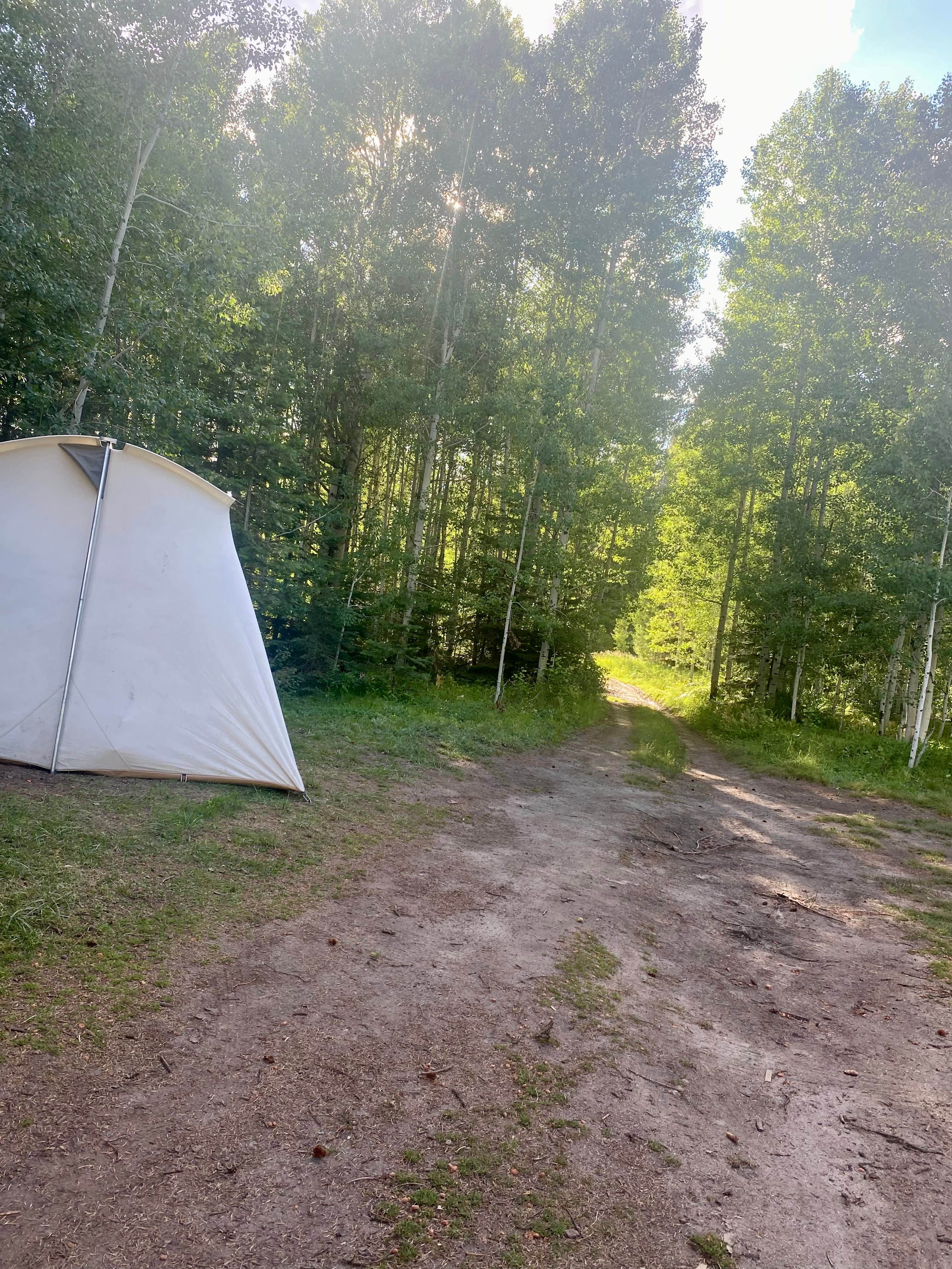 Camper-submitted photo at Little Payette Lake (Dispersed) near McCall, ID
