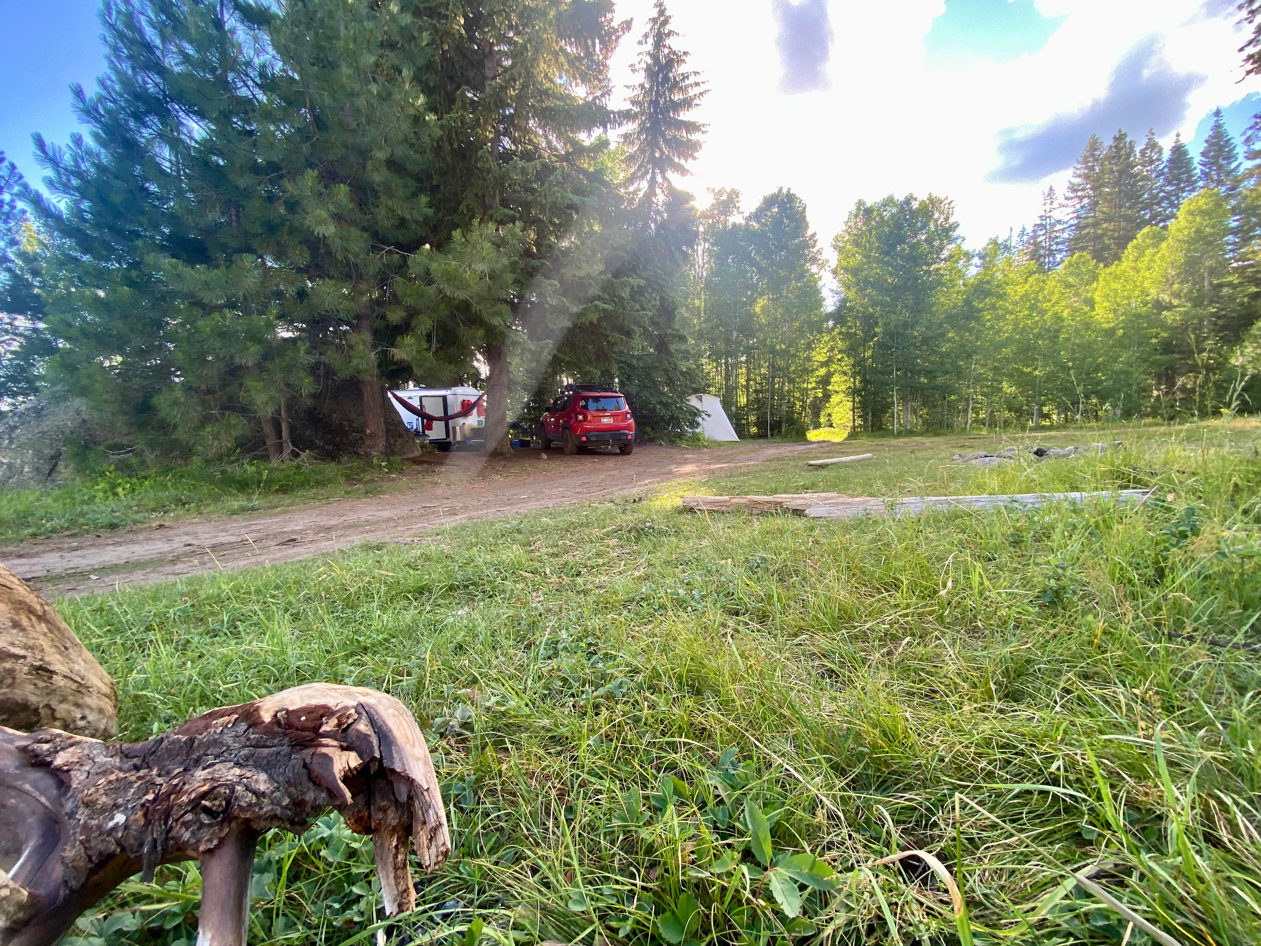 Camper-submitted photo at Little Payette Lake (Dispersed) near McCall, ID