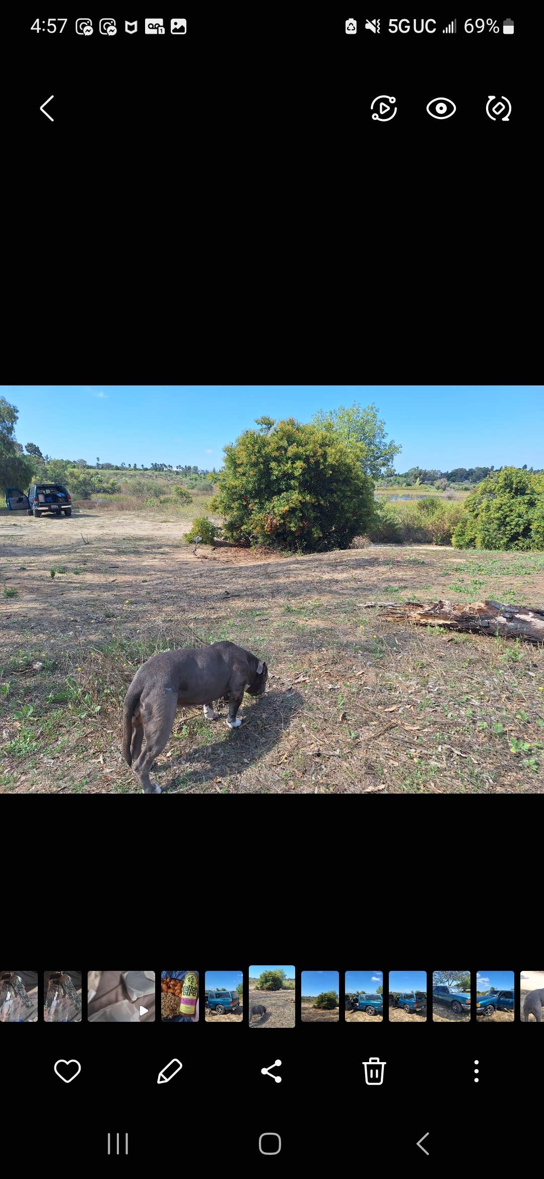 Bria B.'s photo of camping with pets at Little pine campground near Acton, CA