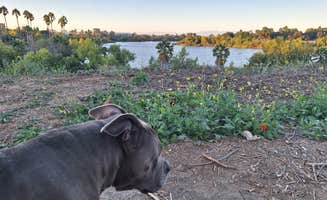 Bria B.'s photo of camping with pets at Little pine campground near San Gabriel, CA