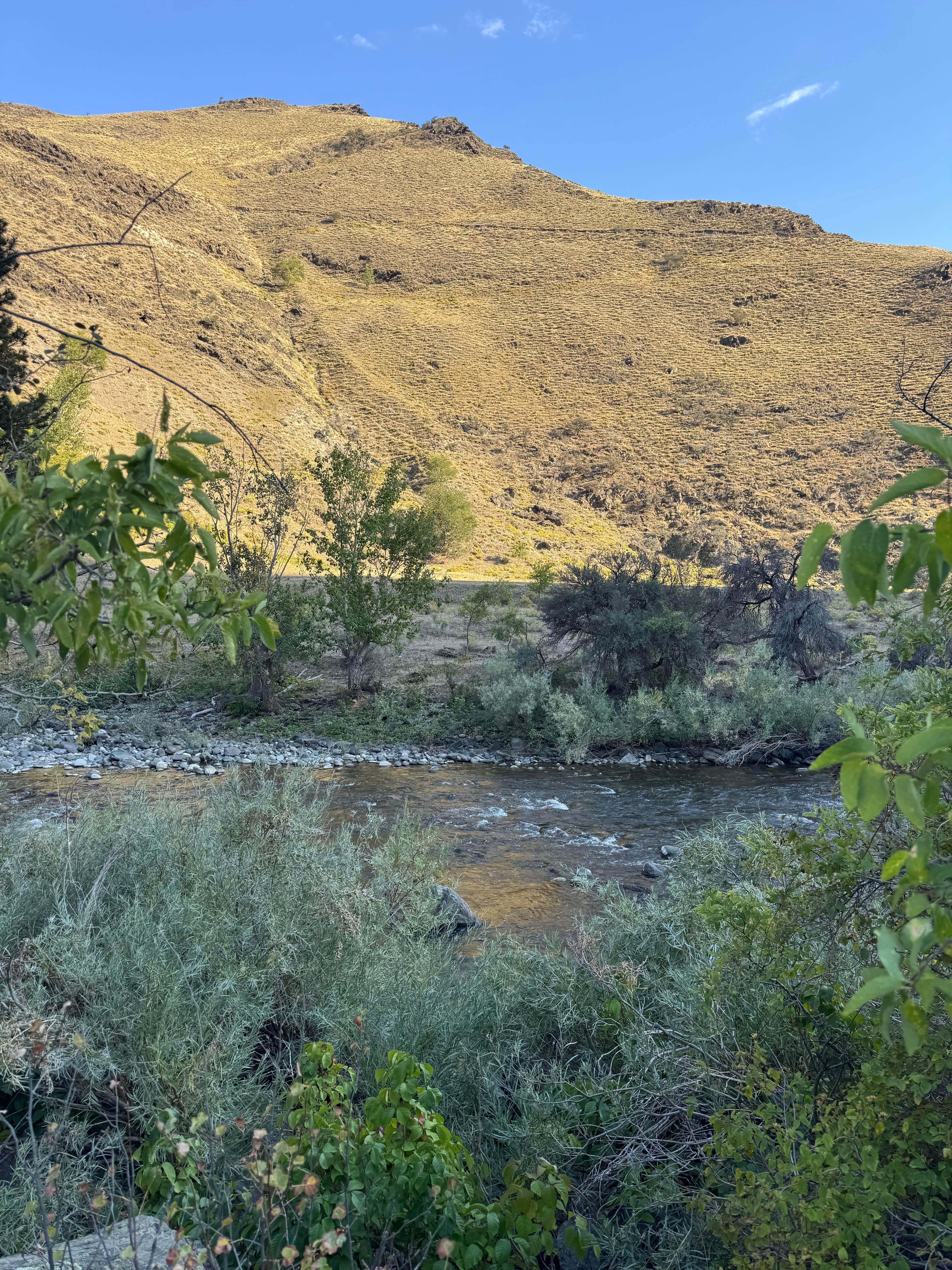 Camping near Kirkwood Ranch: Little Salmon River Pullout Dispersed, Pollock, Idaho