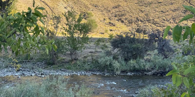 Camper submitted image from Little Salmon River Pullout Dispersed