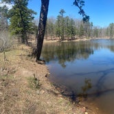 Review photo of Little Scotia Pond 4x4 Dispersed Site by Chris J., April 15, 2024