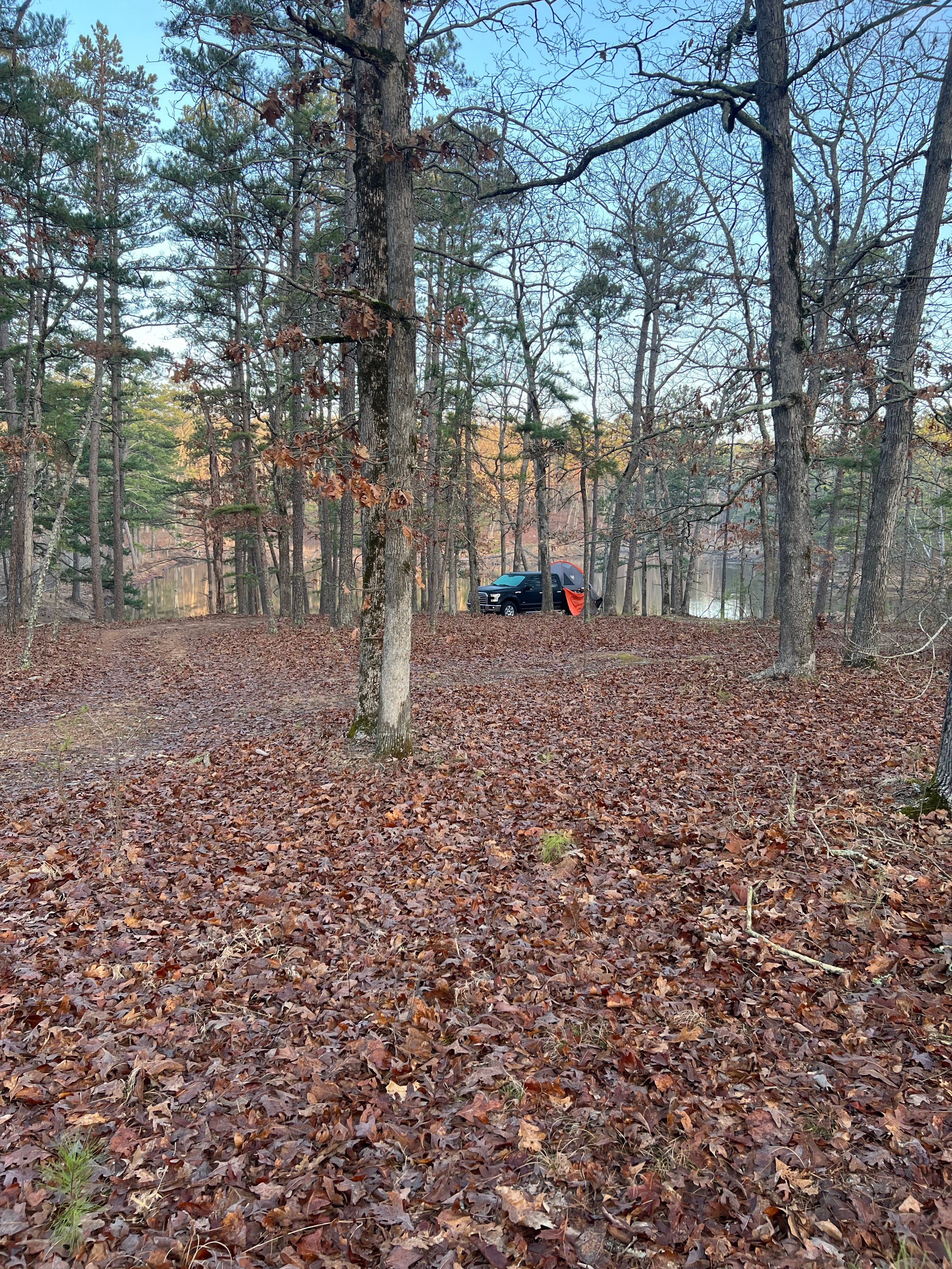 Camper submitted image from Little Scotia Pond 4x4 Dispersed Site - 2