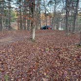 Review photo of Little Scotia Pond 4x4 Dispersed Site by Malik H., March 7, 2024