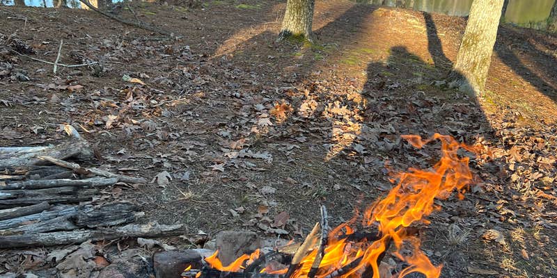 Camper submitted image from Little Scotia Pond 4x4 Dispersed Site